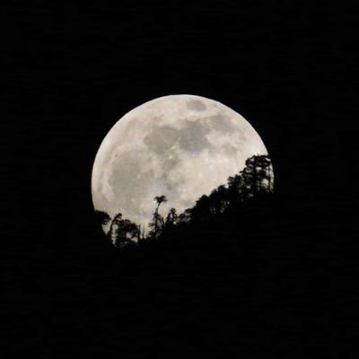 AshishKanderi's profile picture. 