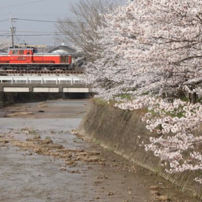 撮り鉄のカズです笑!! 皆さんこんにちはよろしくお願い致します笑!!