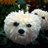Tholthoron's profile image