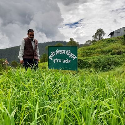 prakash_hill's profile picture. जय माँ ज्वाल्पा, जय बूढ़ा भरसार 🇮🇳🇮🇳🇮🇳