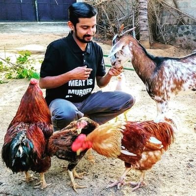 Vegan|Founder@AhimsaSanctuary
IG-https://t.co/piNFe4EYuj
FB-https://t.co/KpMPecZt0A