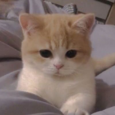 2fcJSWeK3Q1UCHP's profile picture. 🖤🥀