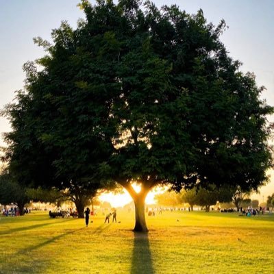 BayanByon's profile picture. 