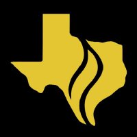 𝐓𝐞𝐱𝐚𝐬⭐𝐆𝐨𝐥𝐝 (@votetexasgold) 's Twitter Profile Photo