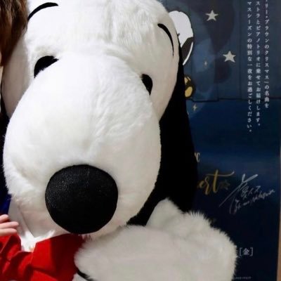 。さんのプロフィール画像