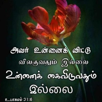 Sutha10459066's profile picture. I love my master Jesus