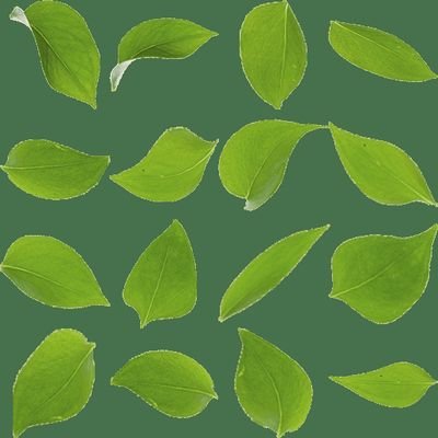 z63399111's profile picture. 