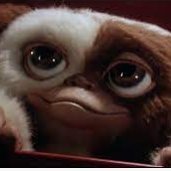 gizmoNFT (@gizmonft) 's Twitter Profile