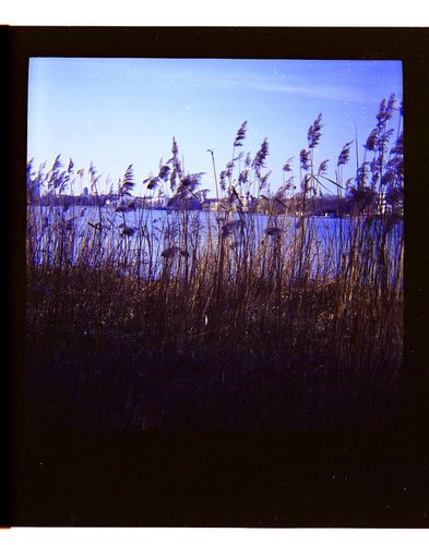 themindwheels's profile picture. Photographs, Musings, Meditations and More. The Mindwheels, they go 'round and 'round.