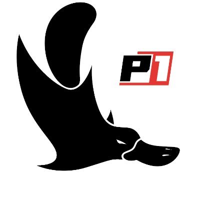 P1 Sports Profile