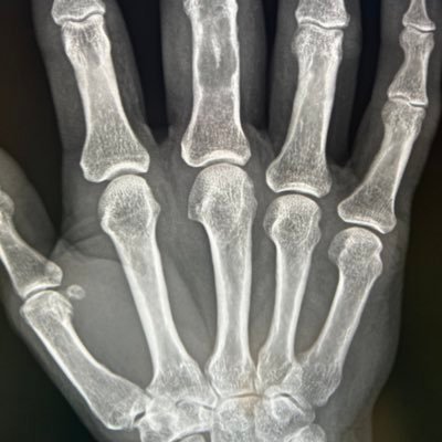 mellowmehl's profile picture. 