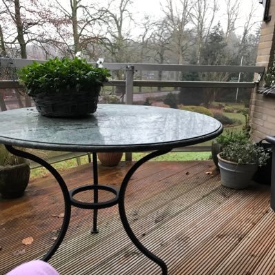 Cora32840939's profile picture. 