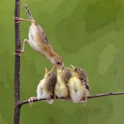 Grifafrkt's profile picture. Moi meme