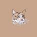 You (@1dsalman) Twitter profile photo You (@1dsalman) Twitter profile photo