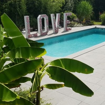 anikastekass's profile picture. 