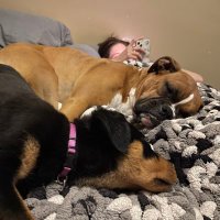 Zoey Boxer & Sasha Rott (@zoey_boxer) 's Twitter Profile
