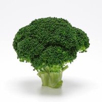 緑 (@broccoliannin) Twitter profile photo