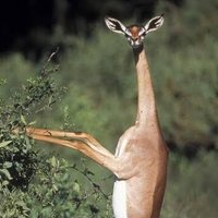 たいき (@ta_iki0227) 's Twitter Profile Photo