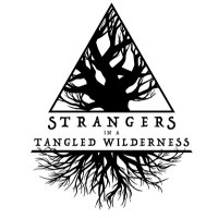 Strangers Collective(@TangledWild) 's Twitter Profile Photo