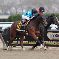 Acqua Nova Stables (@acquastables) 's Twitter Profile