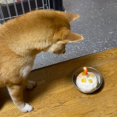 Flapping_ay's profile picture. 