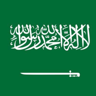 أستاذ مشارك بجامعه الملك سعود كليه ادارة الاعمال، رئيسة قسم الاداره الصحي ، رئيس ادارة مجلس جمعيه روض للنشاط البدني والصحه الأهليه