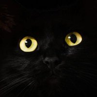 ❄️ReenNuneo (@reen_hottest) 's Twitter Profile