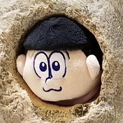 かなです。垢消えたので作り直しました。前世でご縁のあった方々、よろしくお願いします!松(カラトド/26/殻椴/💙💗)