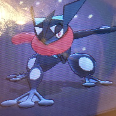 ポケモンxy交換 Pokemonxy Twitter ポケモンxy交換 Pokemonxy Twitter