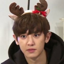 loevsvu's profile picture. we are one