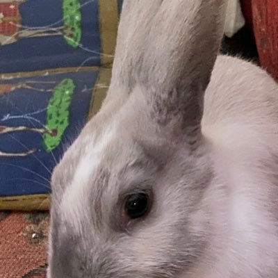 DougBunandJudy Profile