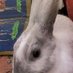 DougBunandJudy (@judy686693591) Twitter profile photo DougBunandJudy (@judy686693591) Twitter profile photo