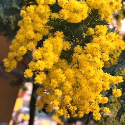 最中さんのプロフィール画像