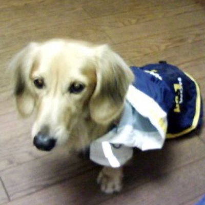 arihide_t's profile picture. モバイルゲーム会社でリードUnityエンジニアしてます！ 
個人・組織の両方でアプリを伸ばしていきたい
#Unity #iOS #Android #Swift
個人開発 iOS: https://t.co/c4rlWRoNcV Android: https://t.co/kkj5E9HaVf
経歴・実績はリンク欄