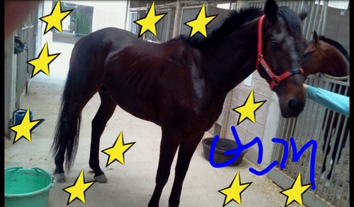 chungmin1114's profile picture. 이사회를 시원하고 환하게