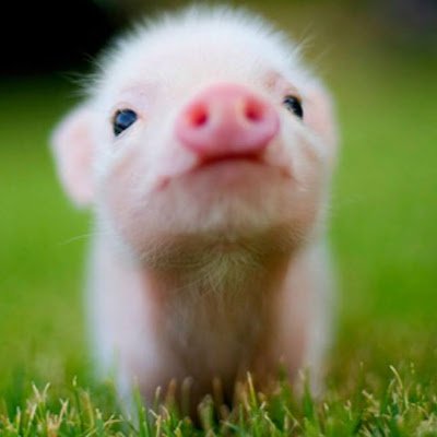 ClaireGorzynsk5's profile picture. 