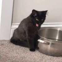 jaly (@jalylopezzz) 's Twitter Profile