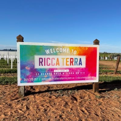 RiccaTerra's profile picture. Growing, making & selling vegan friendly, sustainably grown & climate appropriate wines. Visit https://t.co/IzeiS4WcX7 for wine sales.