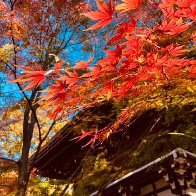 9119irir's profile picture. 摂食障害。非嘔吐過食。