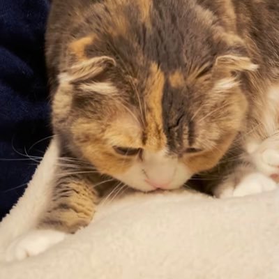 佐々木さんのプロフィール画像