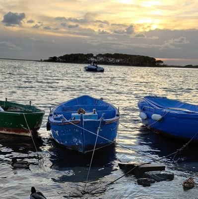 SSulemarejentu's profile picture. 