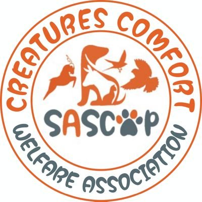 A non profit organisation, rescuing and rehabilitating one of the most neglected in our country;abused and injured homeless, street animals and working animals.