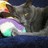 felinamora's profile image