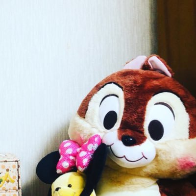 megumil48830681's profile picture. 毎朝朝活をする社会人。障害の影響もあり新卒後、非正規雇用で働いていましたが２年後無事、念願の正規雇用！朝活は人生を変える！そう信じてます。