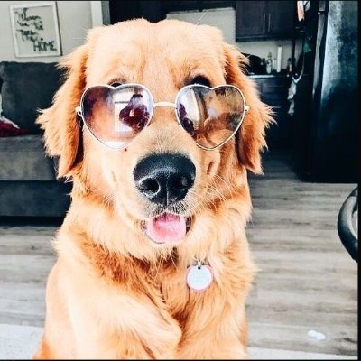 TKBreaks's profile picture. Twitch streamer and video game enthusiast.