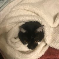 グルメ仙人＠普段着の生活 (@i5xqcyeuu7ml6he) Twitter profile photo