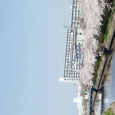 前のスマホが壊れたので、こちらに、変えました。引き続き交換便も募集中なのでよろしくお願い致します。紙モノとかレジンなどのハンドメイドをしています(*^^*)