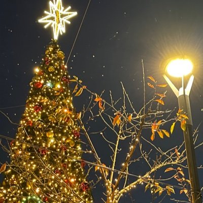 VYNCsLtD1Y2BOgd's profile picture. 