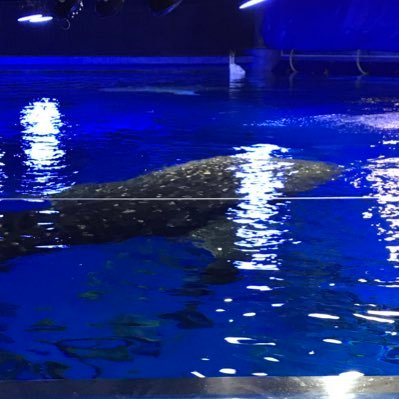 なぎは@なんでも垢