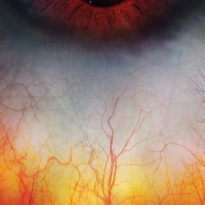 zzaann's profile picture. likes and rts are for archive